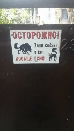 Позитива с утра