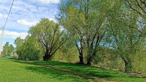 село Октябрьское , Чувашия, 7.05.2025