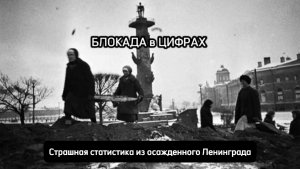 Блокада Ленинграда в цифрах: в преддверии 80-летия Победы вспомним, что пережил город в годы войны