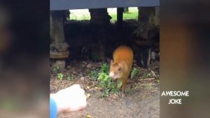 Прикол! Без женщин жизнь скучна, без дураков не выносима!!!'Funny! Without women, life is boring,