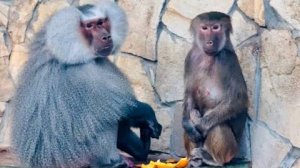 Люська В ШОКЕ! Лида оказалась намного ХИТРЕЕ