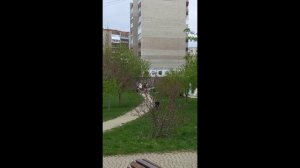 Дом, на котором будет Горельеф Евгения Кунгурова