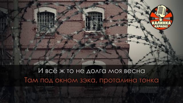 Михаил Круг   Владимирский централ Караоке