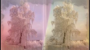 Сергей Есенин - Берёза