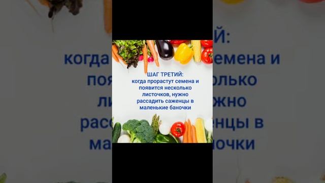 Кира Воробьёва смотреть онлайн