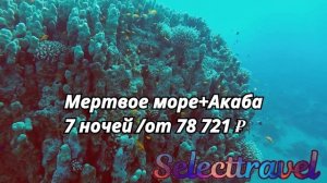 Туры в Иорданию 2025