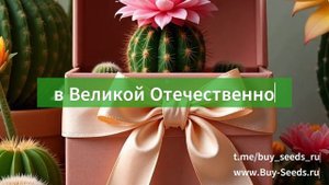 Розыгрыш 05.2025🎉
