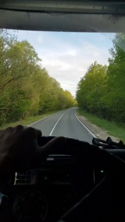 Ульяновская область. Лесной лаберинт.Фредлайнер freightliner дорога работа природа лето