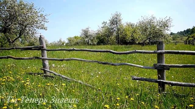 9 Апреля День Матроны. Кого сегодня подстерегает опасн
