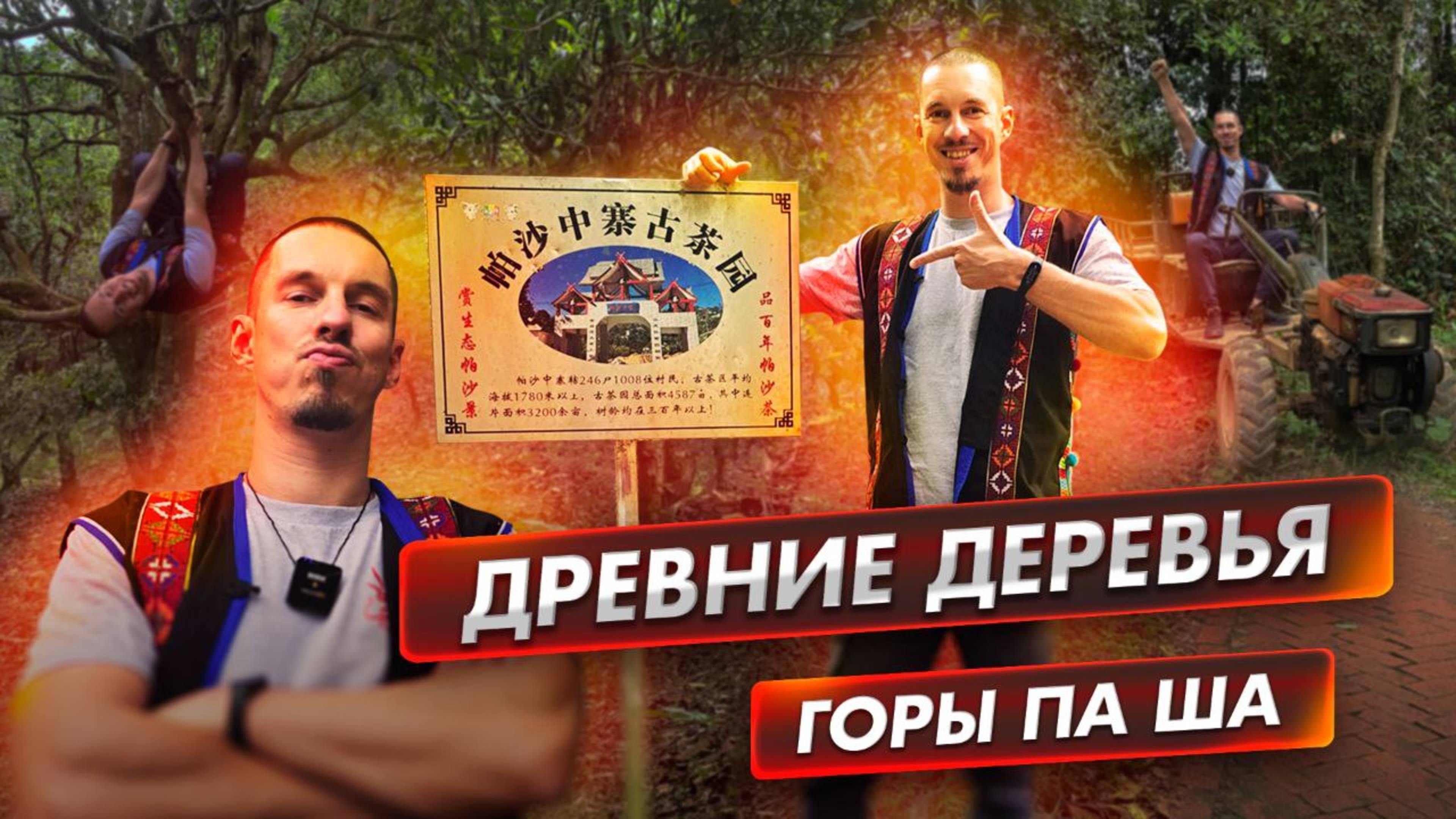 Па Ша Шань, древние сады, аутентичные крестьяне и топовый шэн