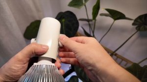 РАСПАКОВКА самой ДОРОГОЙ ХОЙИ в коллекции | ДОБАВЛЯЮ р