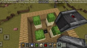 Майнкрафт как сделать ферму кактусов