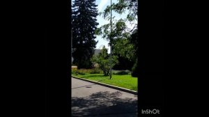 Это обязательно нужно  посмотреть.ВДНХ сегодня.