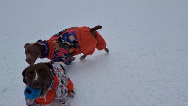 Иллария молодец Анхель ждёт Илларию