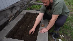 Как вырастить цветы в саду по-деревенски чтобы летом порадовать маму и зрителей ПОДВАЛ ИЛЬИЧА цветы