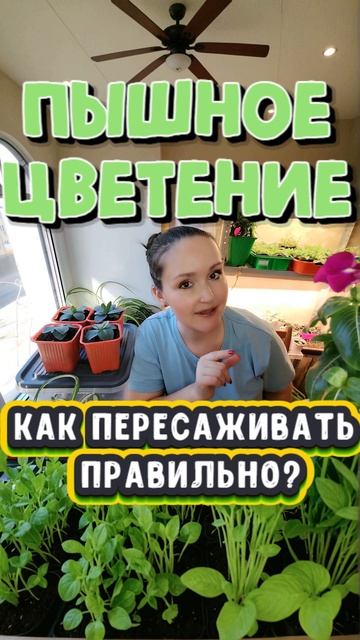 Секрет пышного цветения