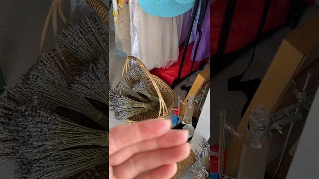 Лавандовая ферма у Ольги . Нижний .