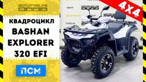 Квадроцикл Bashan Explorer 320 EFI 4х4 с ПСМ