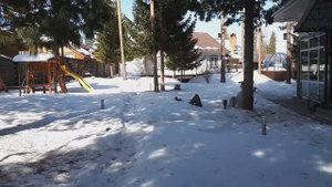 Первые работы в теплице 11 марта.Сею салат, шпинат, рукколу.