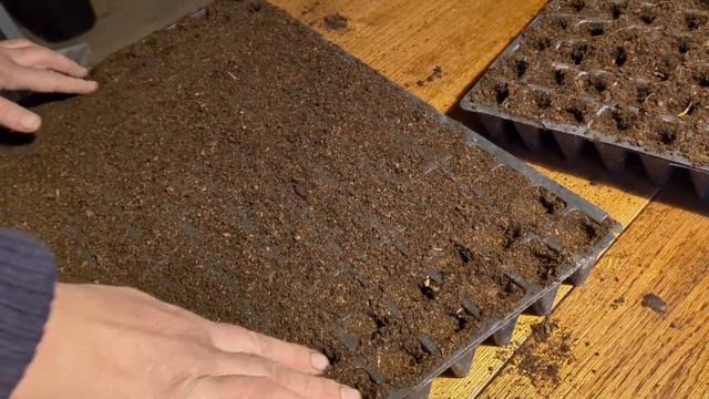 Садим МНОГО салата, хотим ОЗОЛОТИТЬСЯ. Посадка салата смотреть онлайн