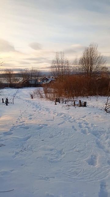 Печём картошечку 😋 смотреть онлайн