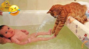 Смешные Коты и Собаки Лучшие Приколы с Животными 29