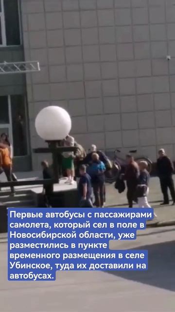 Первые автобусы с пассажирами самолета, который сел в смотреть онлайн