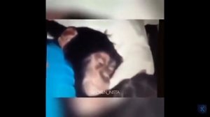 ЕРЖАН оригинал