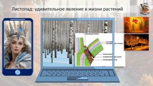 Б6 22 Выделение у растений