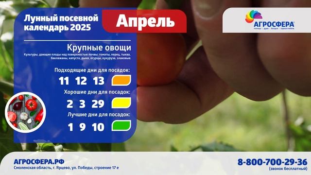 Посевной календарь на апрель 2025, календарь огородника