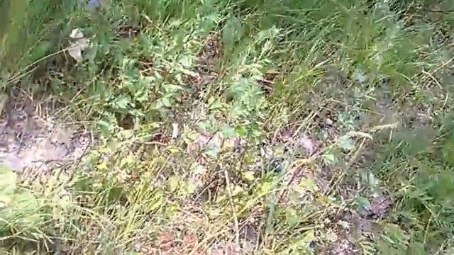 часть 11 смотреть онлайн