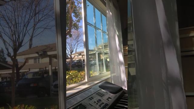 Семья в Америке/Птички поют погода хорошая !солнце, во? смотреть онлайн