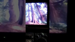 Заколдованная  Элла