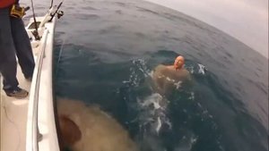 Вот это рыбалка Монстр чуть не утянул под воду