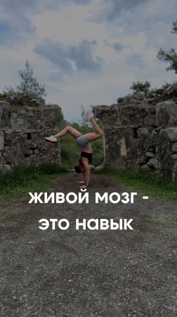 «Живой» мозг — это навык.