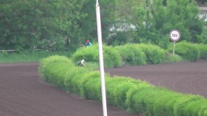 08.05.2025г скачка 6