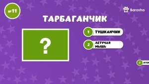 🌟 Викторина 🌟 Смешные и необычные названия животных