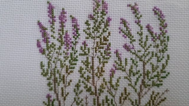 Мои новые вышивки гербария. смотреть онлайн