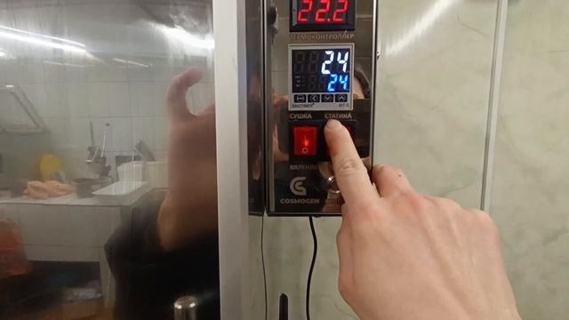 🔥 Копчение сыра с электростатикой | Как быстро и вкус?