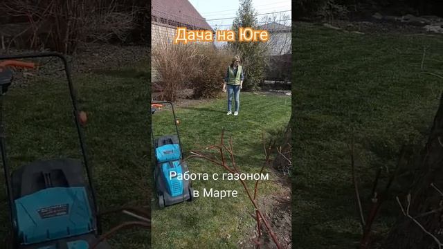 17.03.25г. #газон #краснодар #весна #март #дачанаюге #shortvideo #