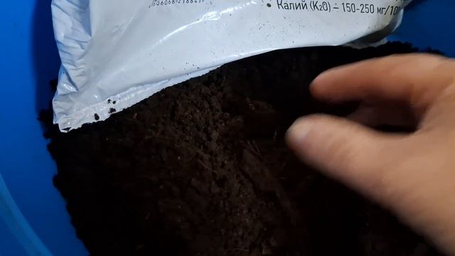 Грунт из ,,Ленты,,,пересаживаем фикус. смотреть онлайн