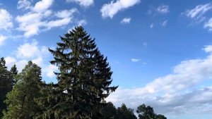 Река Руза в Московской области