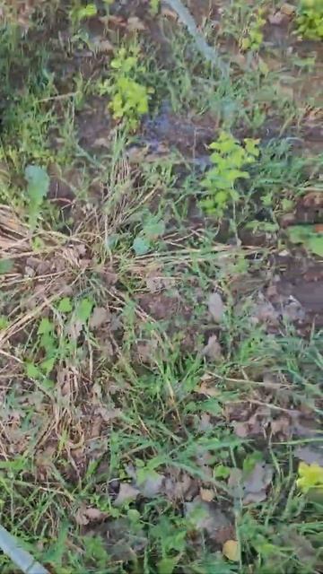 Зимняя система от колодца до бочки без обратного клап? смотреть онлайн