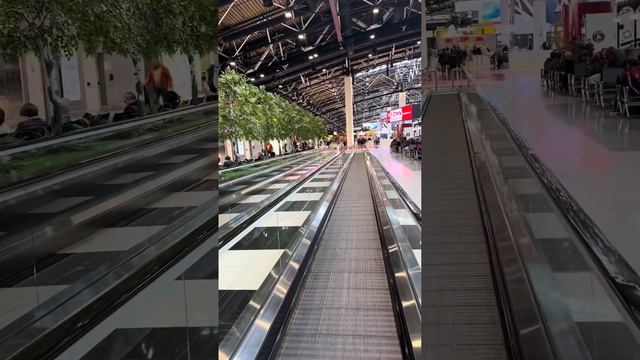 Шереметьево. Из терминала С в терминал В. смотреть онлайн