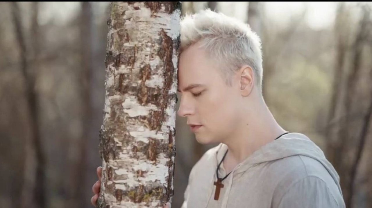 SHAMAN,"Журавли"