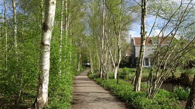 Во поле береза стояла - Русская народная песня