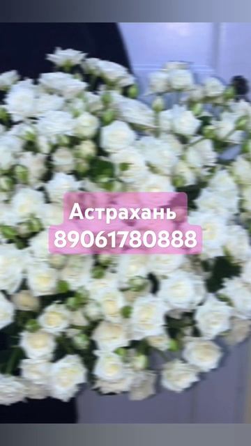 #кустовыерозы #розы #цветы #цветыастрахань #астрахань #