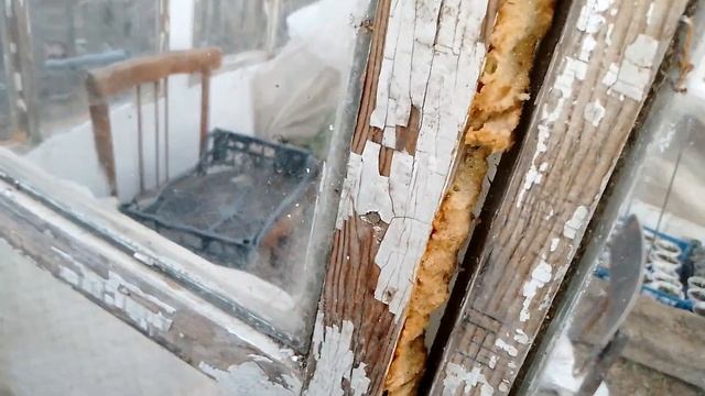 Ура, собрала и запустила теплицу, женскими руками!!! Жи?
