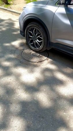 Черепашки ниндзя дома сегодня будут
