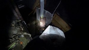 Открытие охоты на уток. Ночь в шалаше на болоте. Первые добычи 2025